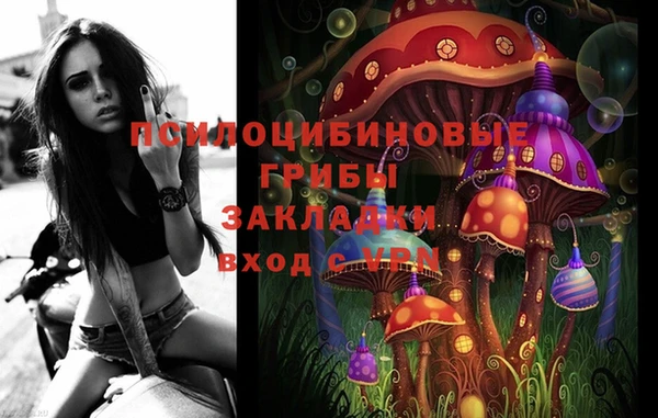 амф Майский