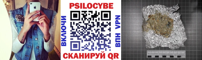 Купить закладки  Кирс  Псилоцибиновые грибы Psilocybine cubensis 